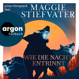 Maggie Stiefvater: Wie die Nacht entrinnt - Dreamer-Trilogie, Band 3 (Ungekürzte Lesung)