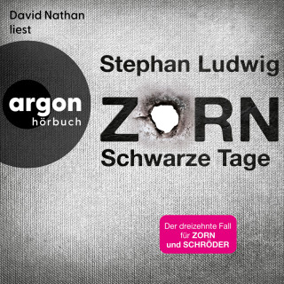 Stephan Ludwig: Schwarze Tage - Zorn, Band 13 (Ungekürzte Lesung)