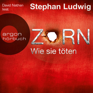 Stephan Ludwig: Wie sie töten - Zorn, Band 4 (Autorisierte Lesefassung)