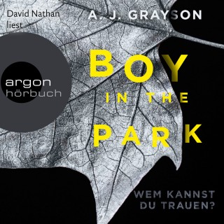 A. J. Grayson: Boy in the Park