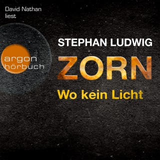 Stephan Ludwig: Zorn - Wo kein Licht