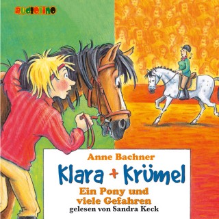 Anne Bachner: Klara + Krümel (4): Ein Pony und viele Gefahren