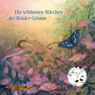 Jakob Grimm, Wilhelm Grimm: Die schönsten Märchen der Brüder Grimm