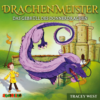 Tracey West: Drachenmeister (8)