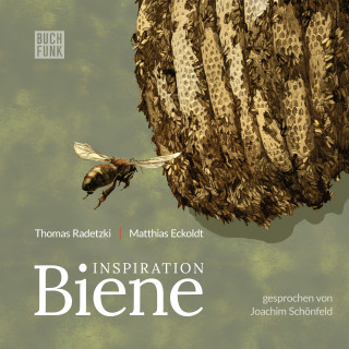 Thomas Radetzki, Matthias Eckoldt: Inspiration Biene