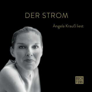 Angela Krauß: Der Strom