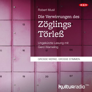 Robert Musil: Die Verwirrungen des Zöglings Törleß