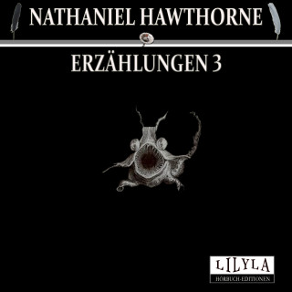 Nathaniel Hawthorne: Erzählungen 3