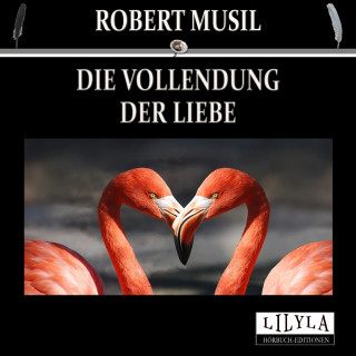 Robert Musil: Die Vollendung der Liebe